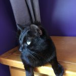 03DE8E66-87B5-4FB2-8C4E-34EA87254AE4