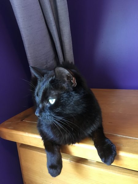 03DE8E66-87B5-4FB2-8C4E-34EA87254AE4