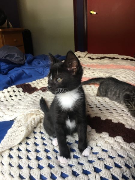 07EFF2F8-4593-444C-8751-3D22ABF59641