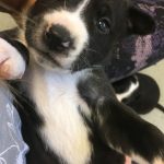 1A744A2B-0E0D-4384-9679-1C386608E807