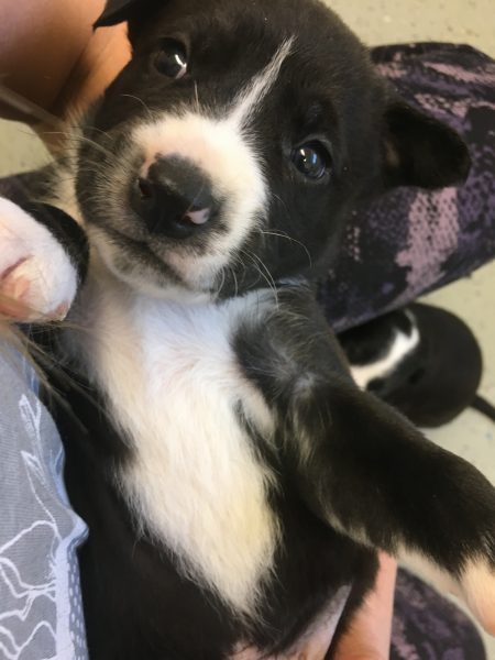 1A744A2B-0E0D-4384-9679-1C386608E807