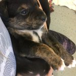 1B04F678-371B-4D7B-9753-2E7A683F0867