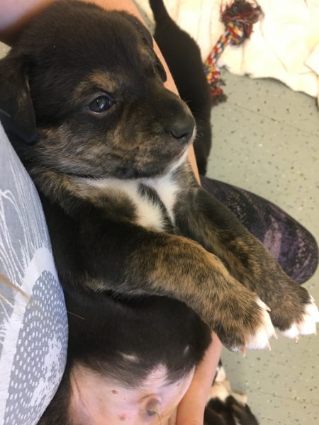 1B04F678-371B-4D7B-9753-2E7A683F0867