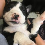 1D209354-265F-4A3F-AEC1-64E580F6A0A1