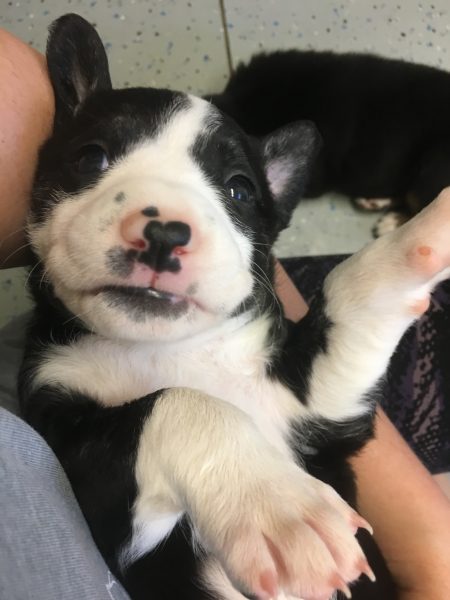 1D209354-265F-4A3F-AEC1-64E580F6A0A1