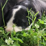 1DAE0067-D6E3-444C-BE4E-1703A604F6C5