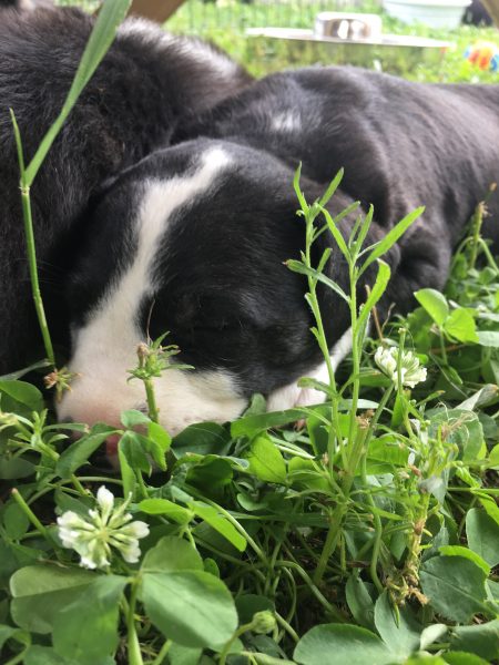 1DAE0067-D6E3-444C-BE4E-1703A604F6C5