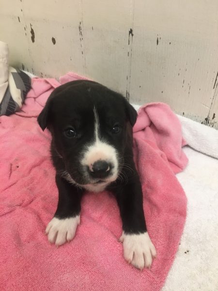 33AF0313-24C5-406F-937F-F696895F89EF