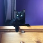 4AE001A7-5695-4E65-A08C-ED6D3D7A9C92