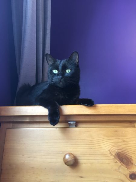 4AE001A7-5695-4E65-A08C-ED6D3D7A9C92