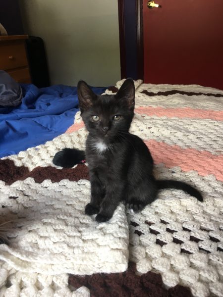 4F44C288-8CAB-49A8-96EF-2CEF8458D139