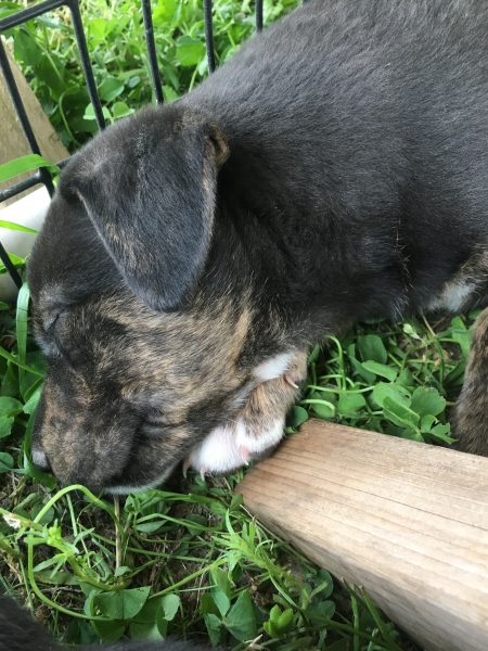 58A354DE-0106-4F3E-B971-29C4298F59A9