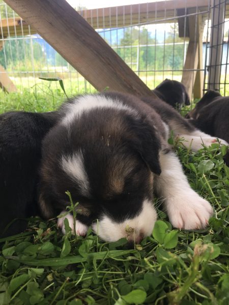 6A35FD8A-89FD-4A37-A750-3CB7BF24DBAD