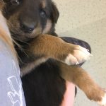 6C714E16-60DF-4C62-B7D2-8B639A7CA9DA