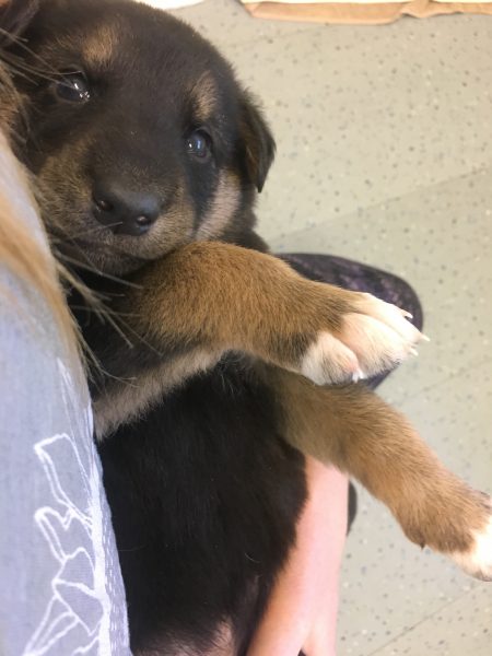 6C714E16-60DF-4C62-B7D2-8B639A7CA9DA