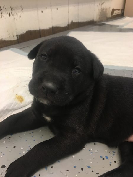 8292C3FA-5BDC-4504-AD47-41290907EFDC