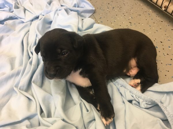 8A473D82-D5BF-4780-9329-809D1945C9DA