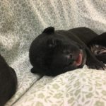 8DAF351A-6A58-4F69-AA7C-1B5266B06F95