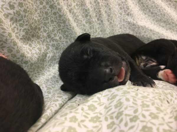 8DAF351A-6A58-4F69-AA7C-1B5266B06F95