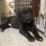 A680B489-58B2-40B2-9E69-5753659E44D2