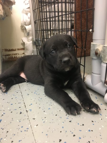 A680B489-58B2-40B2-9E69-5753659E44D2