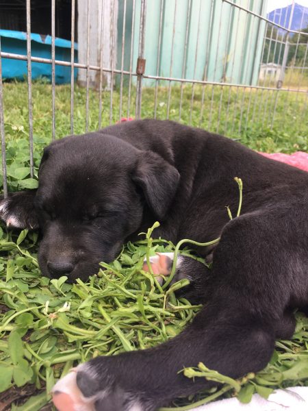 A90C66C6-192C-4926-90A8-A3BABE4C383B