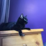 C119548F-3EC9-42B2-B43D-9556C45A5B0B