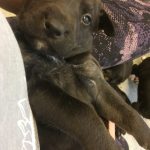 C182D9D8-A293-4A2D-A1BA-F46754C0FE8F