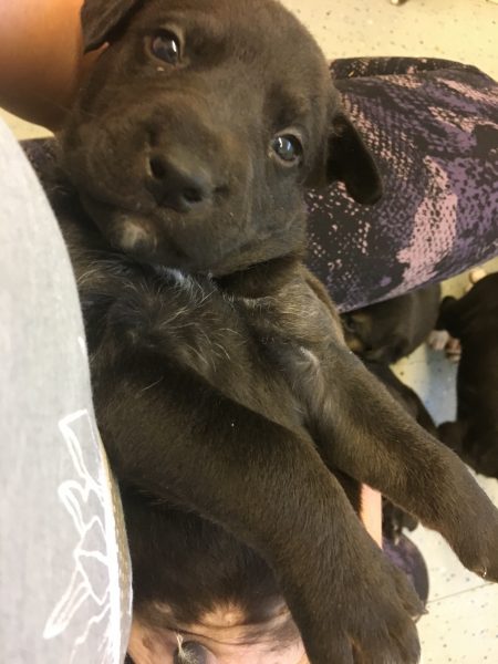 C182D9D8-A293-4A2D-A1BA-F46754C0FE8F