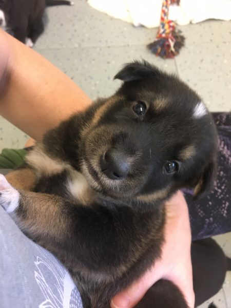 C81D9FB2-681B-4820-8F36-DA9ACDD42122