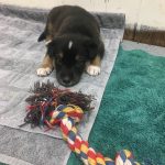 CEAC430A-67F5-4DE1-84A9-0D275C6E94CB