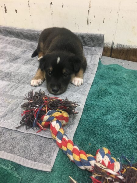 CEAC430A-67F5-4DE1-84A9-0D275C6E94CB