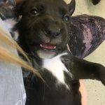 E6184D58-120E-4E16-B158-E594D3DE5D06