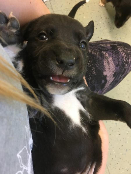 E6184D58-120E-4E16-B158-E594D3DE5D06