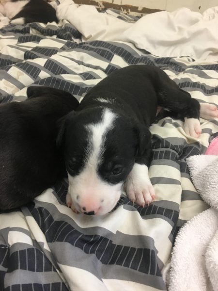 E7B79776-5FA5-487F-A86C-C0A90D1675D7