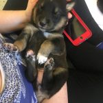 F05E1FF2-35E1-43D9-A793-906EDF97114B