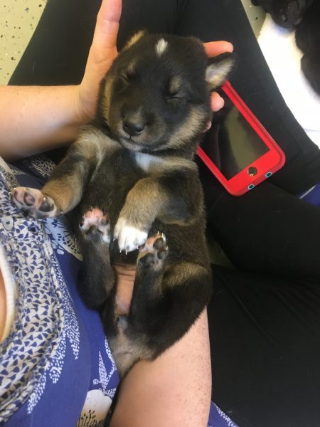 F05E1FF2-35E1-43D9-A793-906EDF97114B