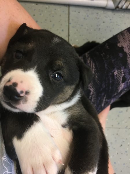 F80FFE29-7610-4CB3-8057-2A411712EC4D