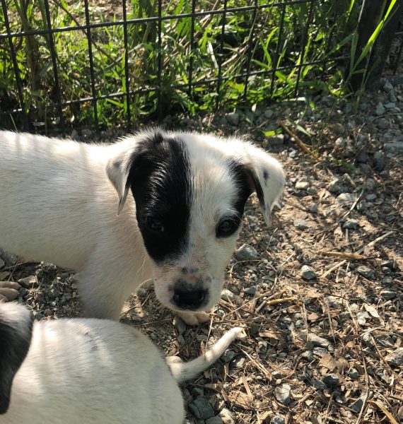 67059923_453877095393091_8213662093564444672_n