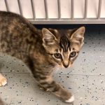 69628133_374726333446215_6214349478632095744_n