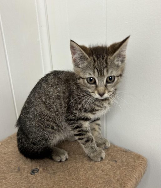 370218274_1441101479794623_7989815452701391221_n