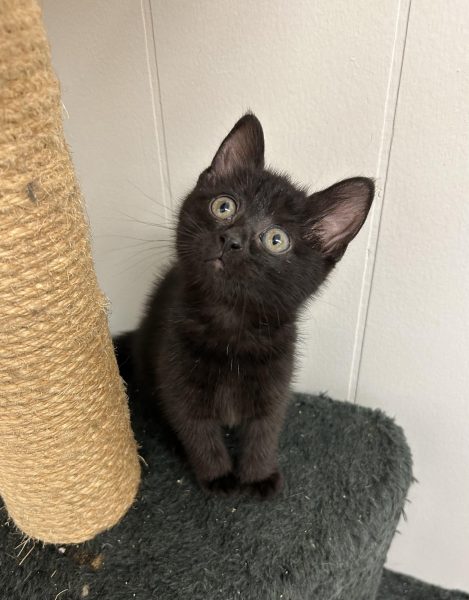 370282554_1019949042670785_3800541049519702547_n