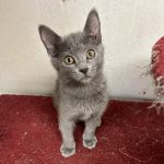 370300146_1382642172635192_7638716871305843720_n