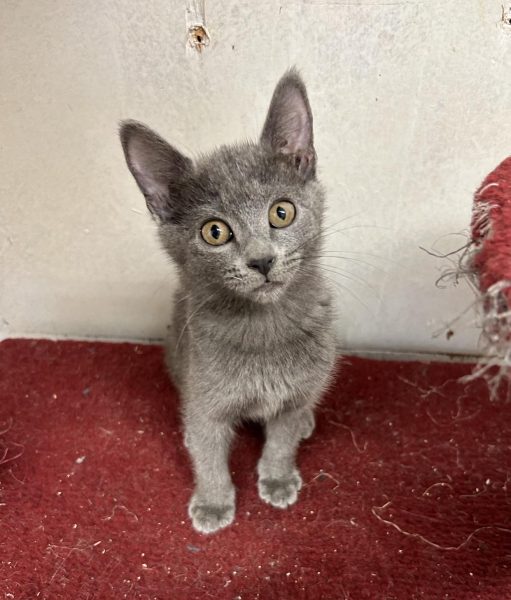 370300146_1382642172635192_7638716871305843720_n