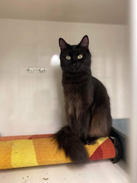 382532305_1961556154218771_2547860285528974125_n