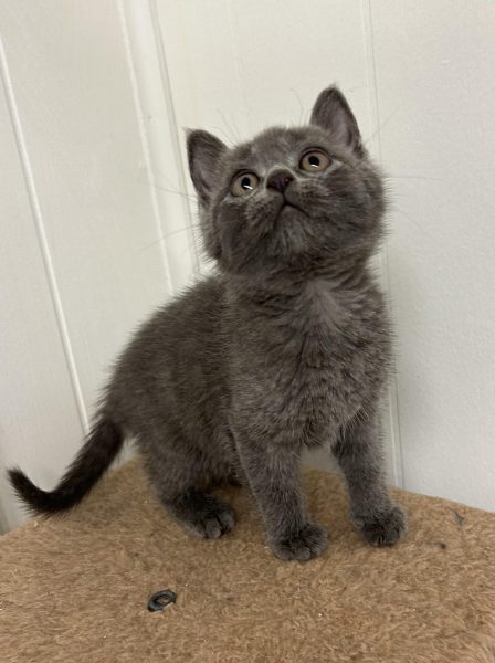 382710587_667543425388220_203145715514301622_n