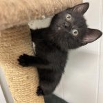 384203359_1844342922649003_6341262700992049506_n