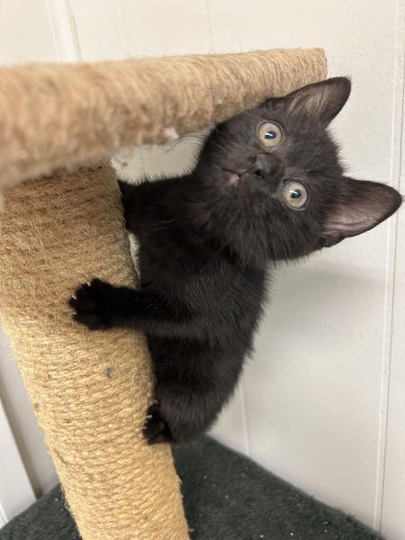 384203359_1844342922649003_6341262700992049506_n