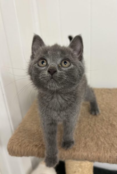 384534600_1550718469007166_1531510291413873046_n