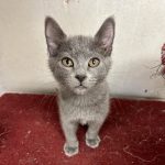 385510486_1263498077637595_2077117470524330025_n